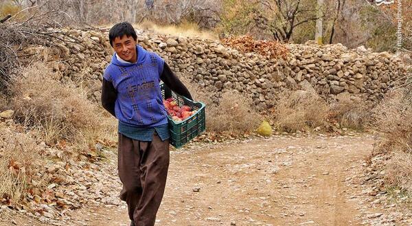 عکس طبیعت زیبای شیراز
