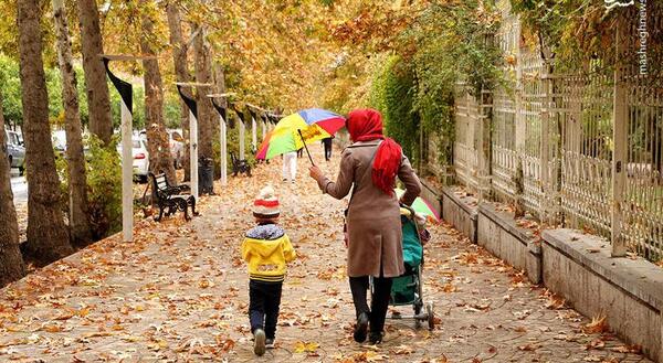 عکس طبیعت زیبای شیراز