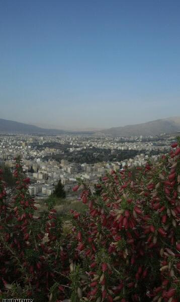 عکس طبیعت زیبای شیراز