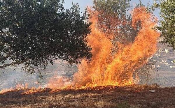 عکس باران آتش