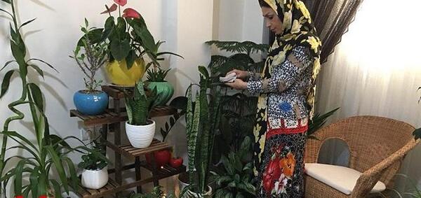 عکس ایده برای فروش گل و گیاه