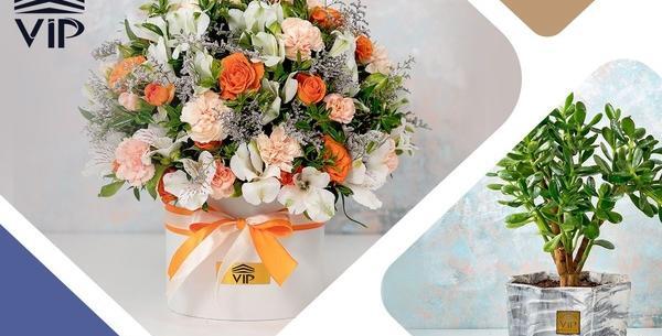 عکس ایده برای فروش گل و گیاه