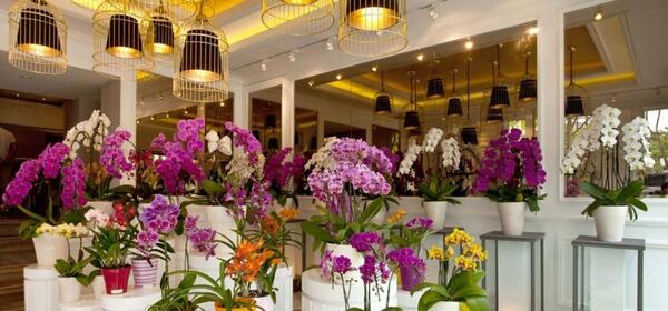 عکس ایده برای فروش گل و گیاه