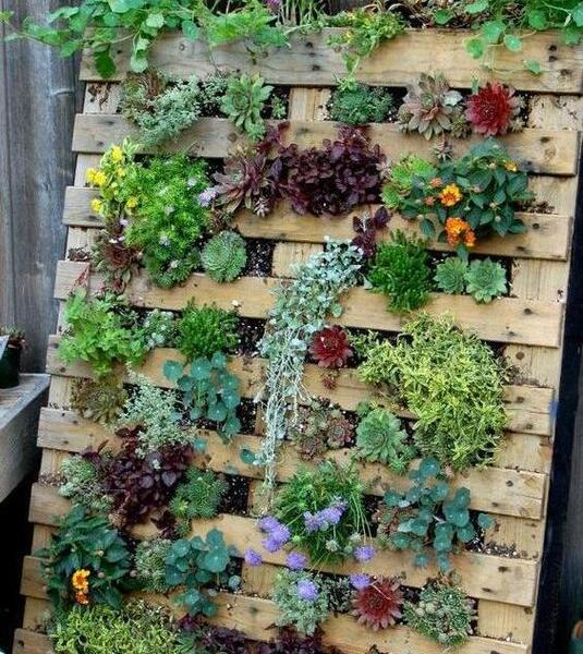 عکس ایده برای فروش گل و گیاه
