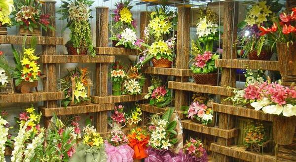 عکس ایده برای فروش گل و گیاه
