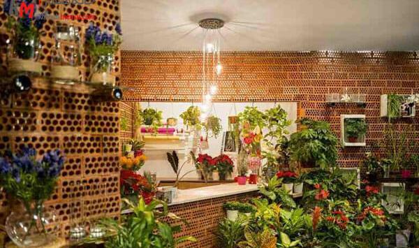 عکس ایده برای فروش گل و گیاه