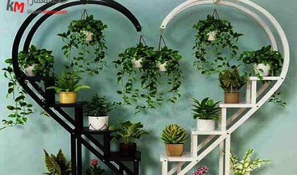 عکس ایده برای فروش گل و گیاه