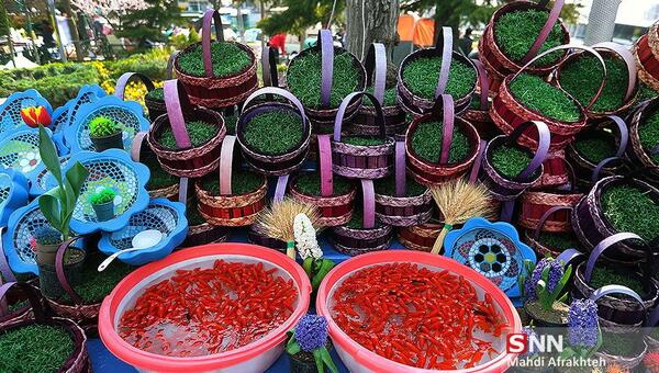 عکس سبزه ماهی عید