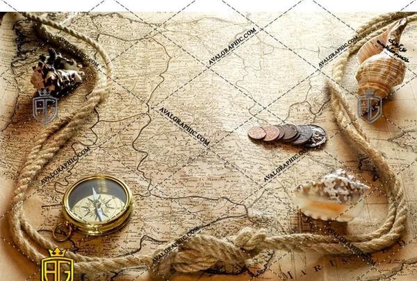عکس صدف تزیینی