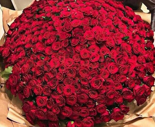 عکس دسته گل رز قرمز برای پروفایل