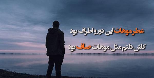 عکس نوشته های علیرضا طلیسچی