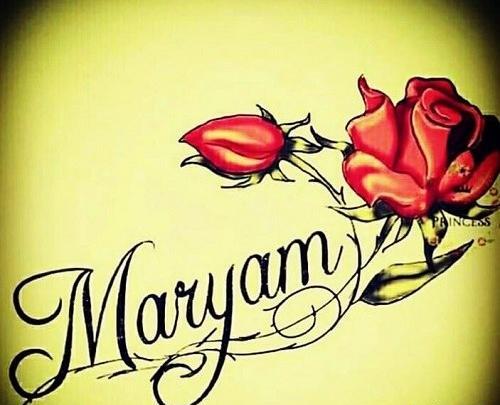 عکس گل مریم به انگلیسی