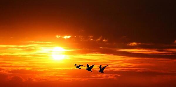 عکس خورشید غمگین