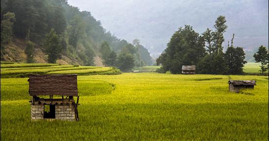 عکس پروفایل طبیعت شمال