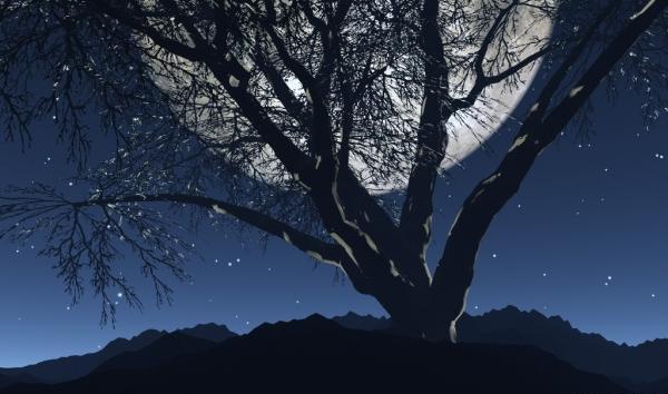 عکس سه بعدی ماه