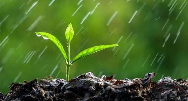 عکس نوشته حدیث باران