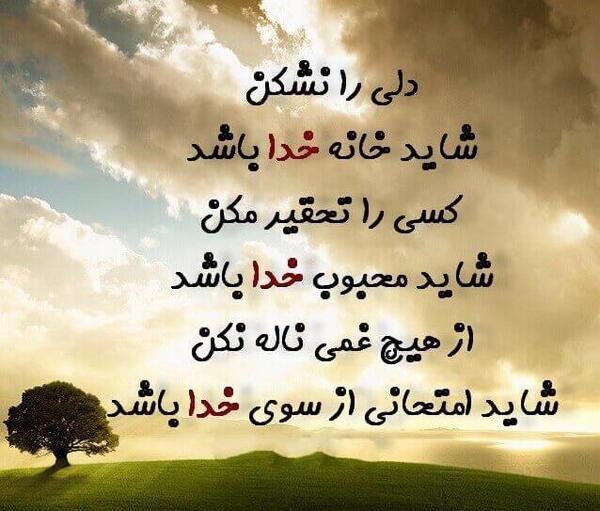 عکس خدا گفت