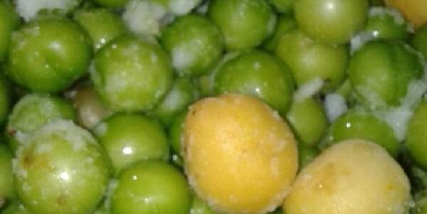 عکس فیک گوجه سبز