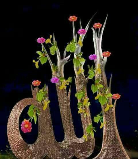 عکس الله فانتزی