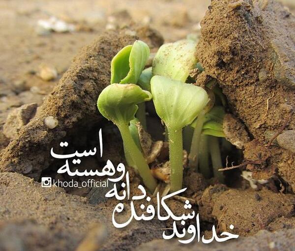 عکس نوشته خدا شیشه را دربغل سنگ نگه میدارد