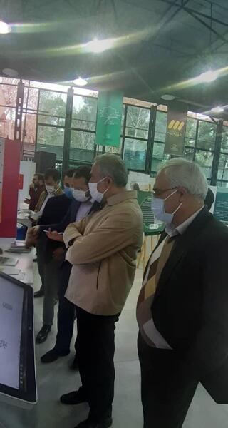 عکس ثریا تقی زاده