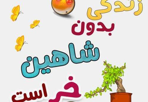 عکس نوشته برای شاهین