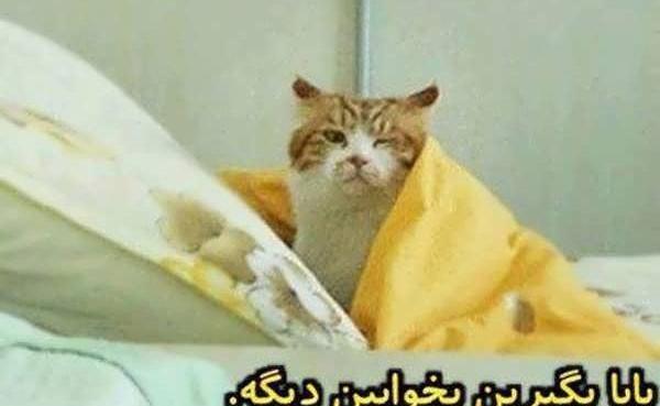 عکس خنده ها