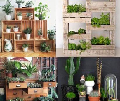عکس ایده های خلاقانه برای کاشت گل و گیاه