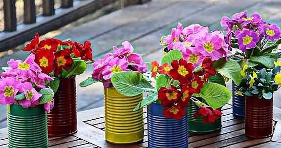 عکس ایده های خلاقانه برای کاشت گل و گیاه
