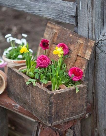 عکس ایده های خلاقانه برای کاشت گل و گیاه
