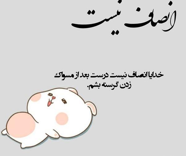 عکس نوشته طنز دایی