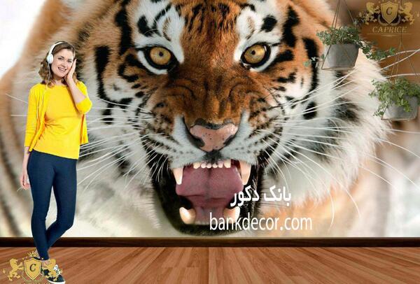 عکس حیوانات سه بعدی
