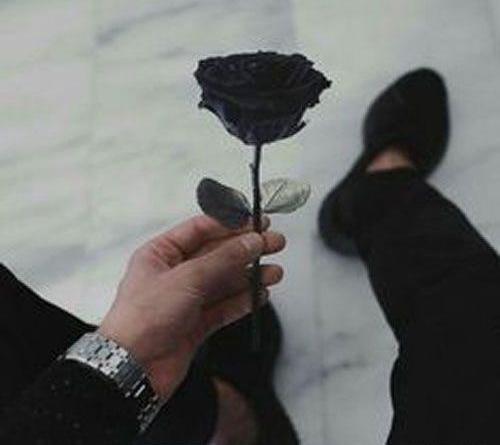 عکس پروفایل غمگین گل بدون متن
