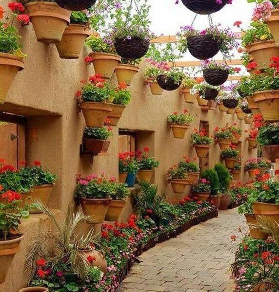 عکس صبح بخیر تابستان