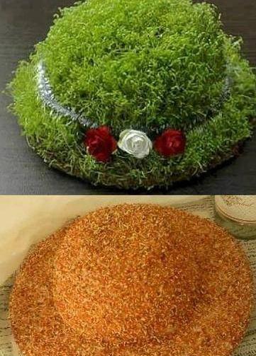 عکس سبزه عید فانتزی