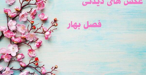 عکس شکوفه های بهاری کارتونی