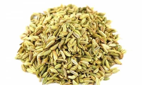 عکس گیاهان رازیانه