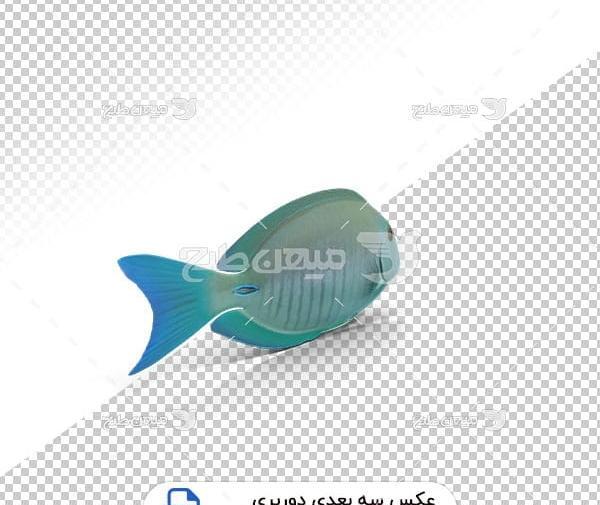 عکس شاه ماهی