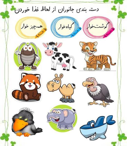 عکس حیوانات همه چیز خوار