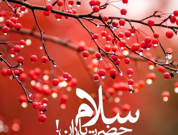 عکس باران فصل بهار