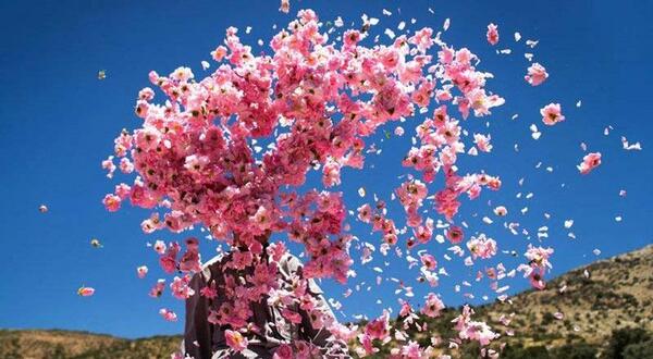 عکس از طبیعت قمصر