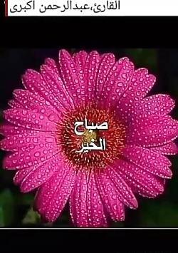 عکس صباح الخیر