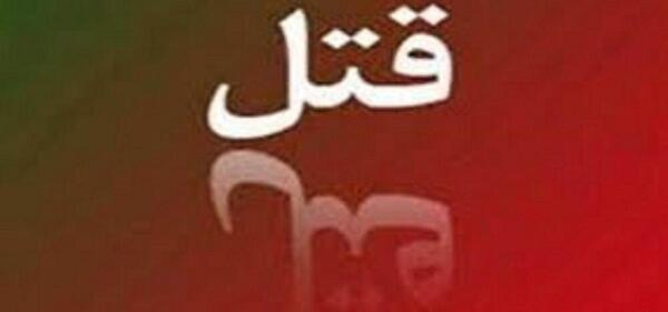 عکس امیر علی پاشایان