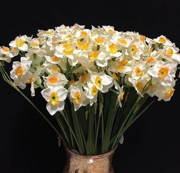 عکس گل نرگس در گلدان شیشه ای