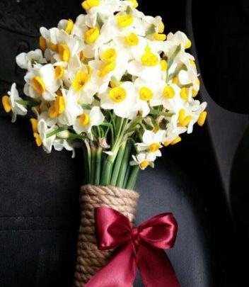 عکس گل نرگس در گلدان شیشه ای