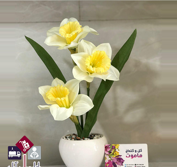 عکس گل نرگس در گلدان شیشه ای