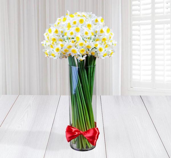 عکس گل نرگس در گلدان شیشه ای