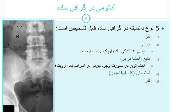 عکس ساده شکم