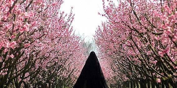 عکس منظره مذهبی