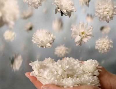 عکس شاد رویایی